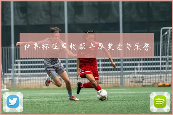 世界杯亚军收获丰厚奖金与荣誉