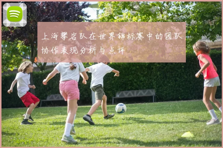上海攀岩队在世界锦标赛中的团队协作表现分析与点评