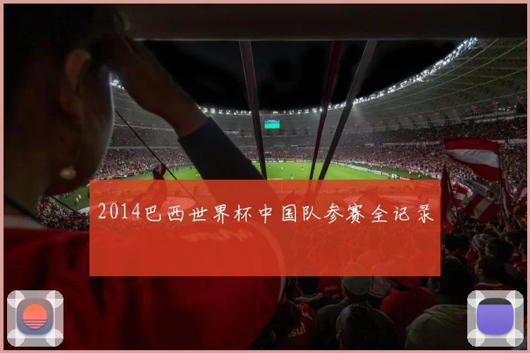 2014巴西世界杯中国队参赛全记录