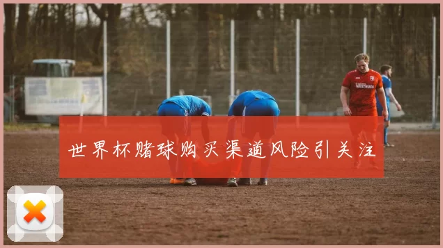 世界杯赌球购买渠道风险引关注