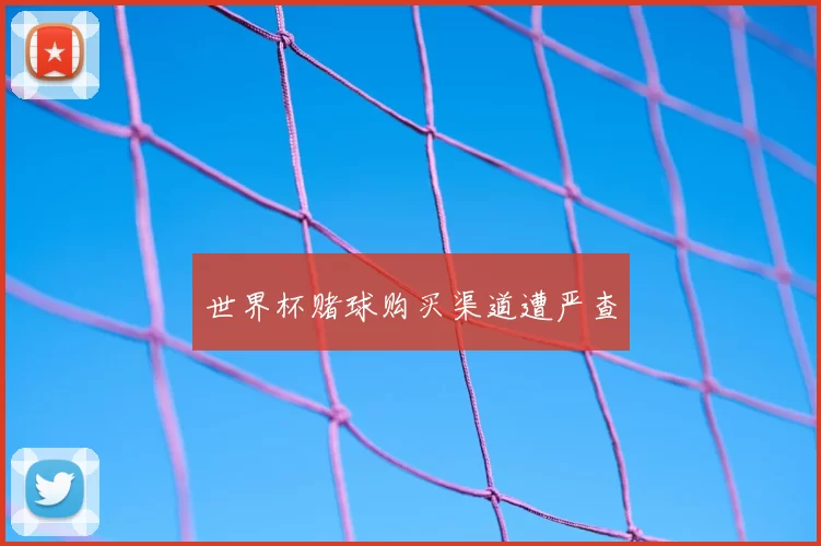 世界杯赌球购买渠道遭严查