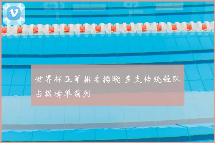 世界杯亚军排名揭晓 多支传统强队占据榜单前列