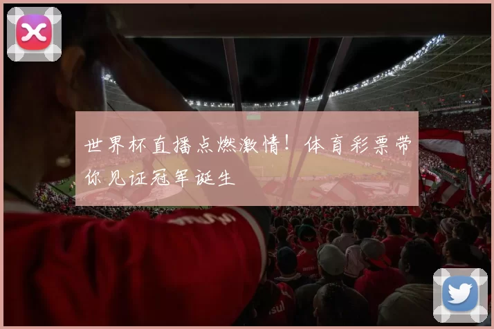世界杯直播点燃激情!体育彩票带你见证冠军诞生